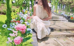 半生枯等情归尘免费阅读